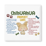 Chihuahua Property Laws 4
