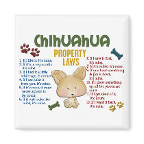Chihuahua Property Laws 4