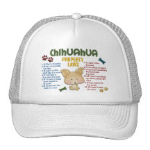 Chihuahua Property Laws 4 Mesh Hat