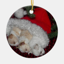 Chihuahua Puppies Ornament