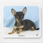 Chihuahua puppy 9W079D-027 mousepads