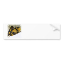 Chihuahua Puppy Bumper Sticker