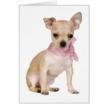 Chihuahua Puppy Dog Blank Note or Greeting Card