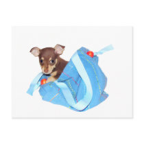 Chihuahua puppy postcard
