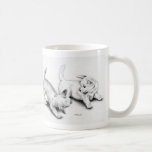 Chihuahua pups playing mug