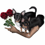 Chihuahua Roses Photo Sculpture photo sculptures