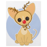 Chihuahua Rudolf flyers
