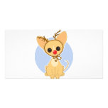 Chihuahua Rudolf photo cards