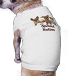 Chihuahua Spoiled Rotten Dog T-Shirt pet clothing