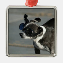 Chihuahua with Goggles Christmas Tree Ornaments