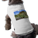 Chihuahuan Desert scene 05 pet clothing
