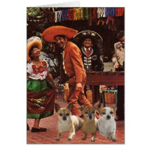 Chihuahuas 3 Amigos Card