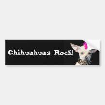 Chihuahuas Rock bumper sticker