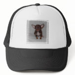 Chihuahua's Rule 1 hats