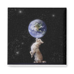 Chihuahuas Rule the World Magnet