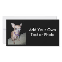 Chihuhahua Looking At You Photo Greeting Card