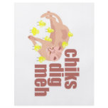 chiks dig meh flyer