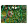 Child finger on fence cards