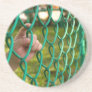 Child finger on fence coaster