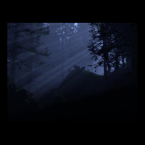 Children of the Night posters