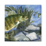 Children's Winning Artwork: walleye magnets