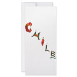 Chile Chilli Peppers rack cards
