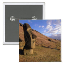 Chile, Easter Island. Hillside with Moai Pin