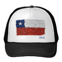 Chile Pintado Mesh Hats
