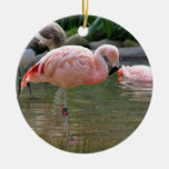 Chilean Flamingo Christmas Tree Ornament