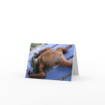 Chill Out -for father cards