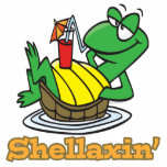 chillaxin shellaxin chill relaxing cute turtle photo sculptures