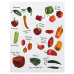 Chilli Pepper ID flyers