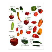 Chilli Pepper ID Postcard