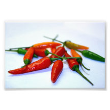 Chilli Photo Print