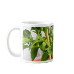 Chilli Plants Green Coffee Mug