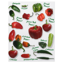 Chilli Varieties