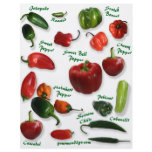 Chilli Varieties flyers