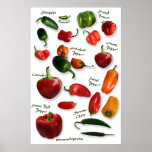 Chilli Varieties Wall Art posters