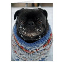Chilly Pug Note Card - blank