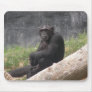 Chimp 004 Mousepad