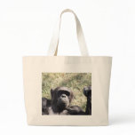 Chimp bags