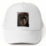 Chimp Baseball Hat
