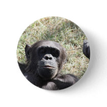 Chimp Button