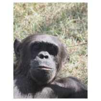 Chimp Flyer