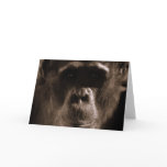 Chimp Greeting Card