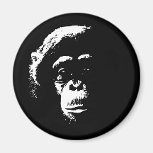 Chimp Shadows Magnets
