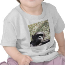 Chimp T Shirts