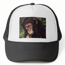 Chimpansee Mesh Hat