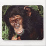Chimpansee Mouse Pads