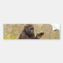 Chimpanzee Bumper Sticker